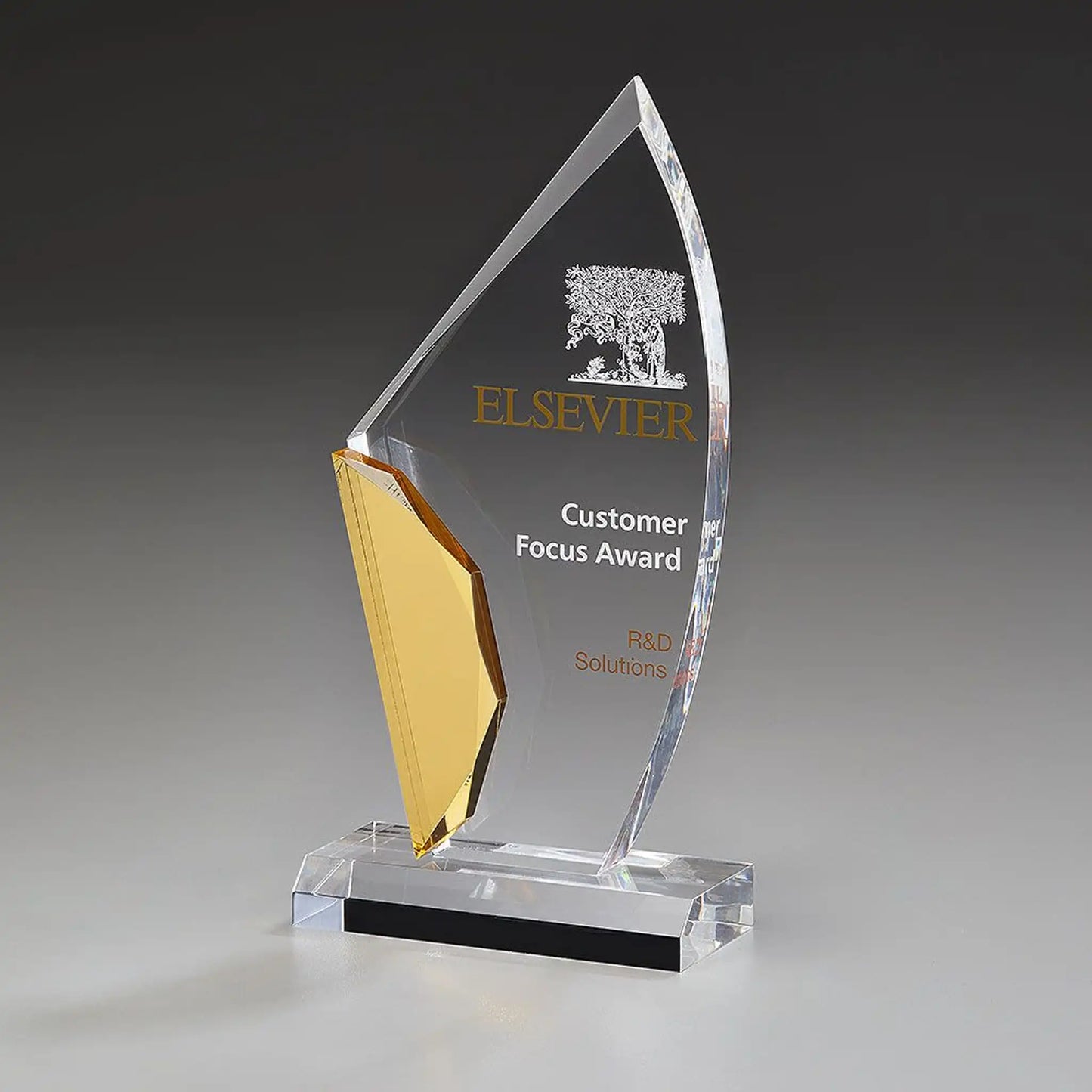 Jewel Award aus klarem Acrylglas, 10 mm stark, 235 mm hoch, mit goldfarben glänzendem Acrylelement –  hier mit Beispielgravur
