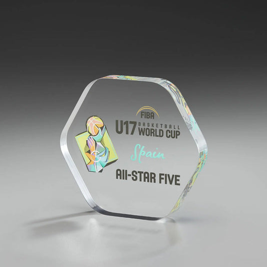 View Award aus klarem Acrylglas in sechseckiger Form mit abgerundeten Ecken, mit farbigem Beispiel-Motiv und Schriftzug

